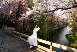 Japan_Sakura_2025 (20/79)